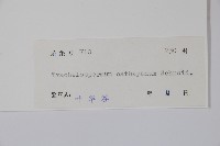 乳兒繩藏品圖，第2張