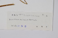 登錄號:S044204藏品圖，第2張