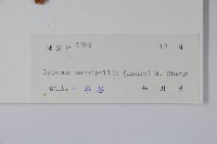 八角蓮藏品圖，第2張