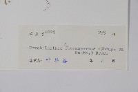 四子馬藍藏品圖，第2張