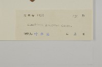 香鬼督郵藏品圖，第3張