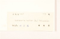 雞兒腸藏品圖，第3張