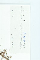 絞股藍藏品圖，第3張