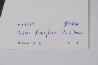 帘子藤藏品圖，第2張