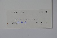 蕊帽忍冬藏品圖，第2張
