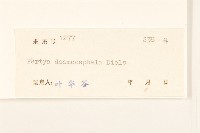登錄號:S044310藏品圖，第3張