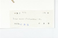 羊耳菊藏品圖，第3張