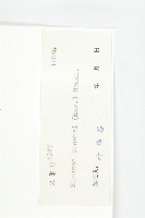 猴歡喜藏品圖，第3張