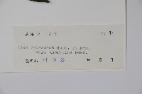 登錄號:S044336藏品圖，第2張