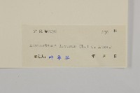 下田菊藏品圖，第3張