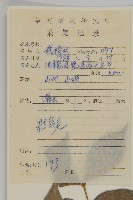 衛矛藏品圖，第2張