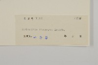 僧蒿藏品圖，第3張