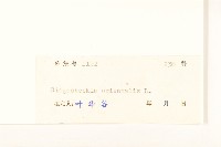 豨簽藏品圖，第3張