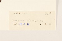 三七草藏品圖，第3張