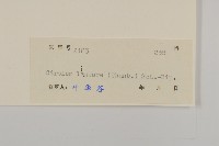 華薊藏品圖，第3張