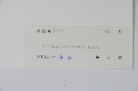 半邊蓮、鐮磨仔草藏品圖，第2張