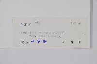 京梨獼猴桃藏品圖，第2張