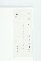 藤胡頹子藏品圖，第3張