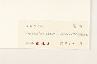 紅面番藏品圖，第3張