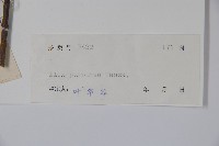 冬青藏品圖，第2張