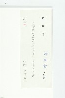 光葉絞股藍藏品圖，第3張