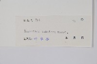 登錄號:S044656藏品圖，第2張