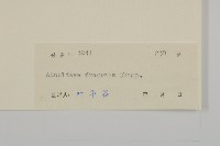 香鬼督郵藏品圖，第3張