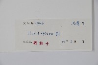 三花冬青藏品圖，第2張