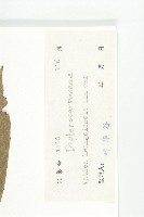 登錄號:S044776藏品圖，第3張