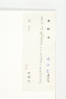 信宜柿藏品圖，第6張