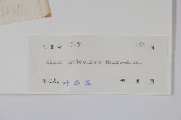 江南榿木藏品圖，第2張