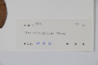 登錄號:S044914藏品圖，第2張