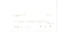 臺灣青木香藏品圖，第3張