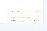 泥胡菜藏品圖，第3張