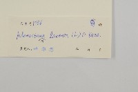 下田菊藏品圖，第3張