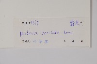 假杜鵑藏品圖，第2張