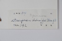 登錄號:S045042藏品圖，第2張