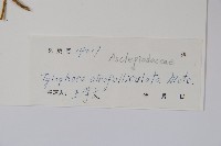 三分丹藏品圖，第2張