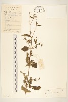 豨簽藏品圖，第1張