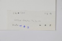 香麗蔥木藏品圖，第2張