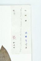 俄氏虎皮楠、蘭嶼虎皮楠、虎皮楠藏品圖，第3張
