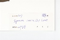 番仔藤藏品圖，第3張