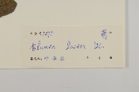 生毛將軍藏品圖，第3張