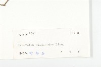 土丁桂藏品圖，第3張