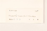 雞兒腸藏品圖，第3張