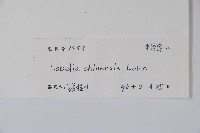 半邊蓮、鐮磨仔草藏品圖，第2張