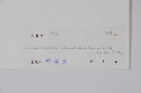 石山漆藏品圖，第2張