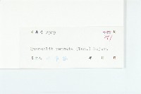 蔦蘿藏品圖，第3張