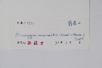 登錄號:S045422藏品圖，第2張