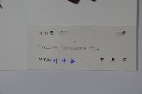 裡白忍冬、紅腺忍冬藏品圖，第2張